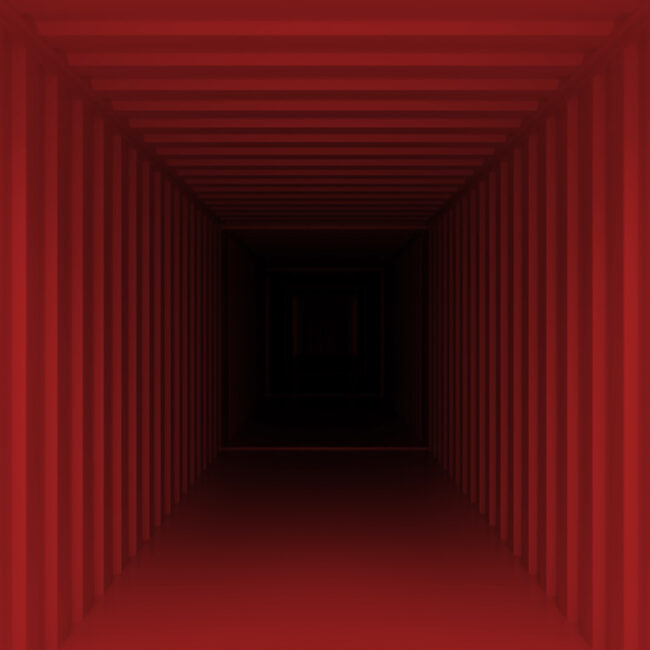 Tunnel Shipping Containers: The Best Storage You’re Not Thinking About